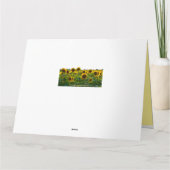 Förderung des Sonnenblumenfeldes Karte (Rückseite)