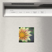 Förderung von "Heute wird Phantastisch" Magnet (In Situ (Geschirrspüler))