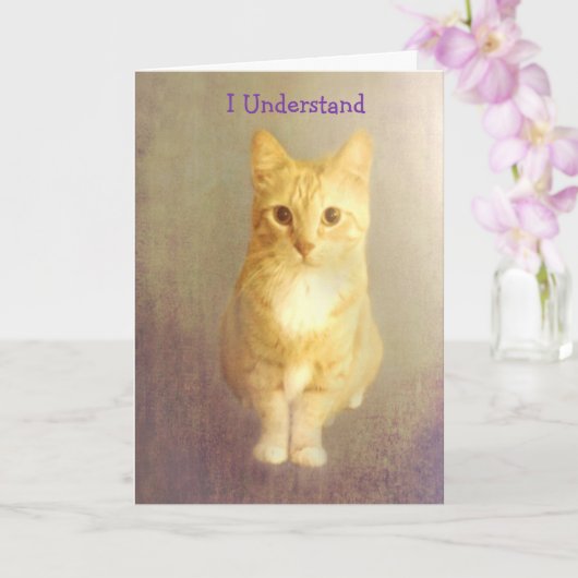 Förderung von Orangenkatzenkrebs Karte (Orchidee)