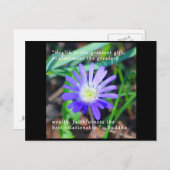 Förderung von Postkarten (Vorne/Hinten)