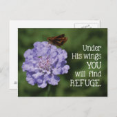 Förderung von Postkarten (Vorne/Hinten)