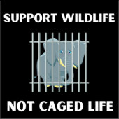 Förderung von Wildtieren, nicht Käfigleben, Tierre Aufkleber (Vorderseite)
