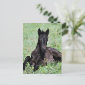 Forelle des Babys auf der Wiese Postkarte (Stehend Vorderseite)