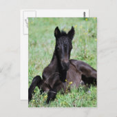 Forelle des Babys auf der Wiese Postkarte (Vorne/Hinten)