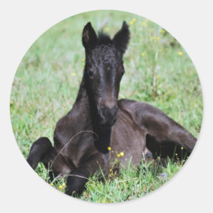 Forelle des Babys auf der Wiese Runder Aufkleber