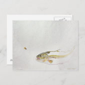 Forelle, die eine Fischfliege jagt Postkarte (Vorne/Hinten)