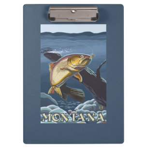 Forelle, die Querschnitt - Montana fischt Klemmbrett