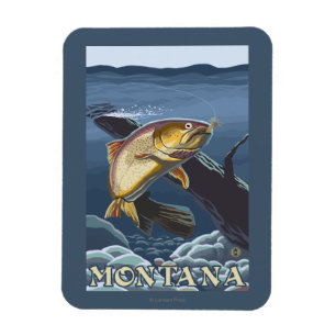 Forelle, die Querschnitt - Montana fischt Magnet