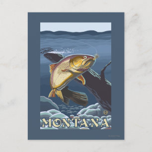 Forelle Fishing Cross-Section - Montana Postkarte