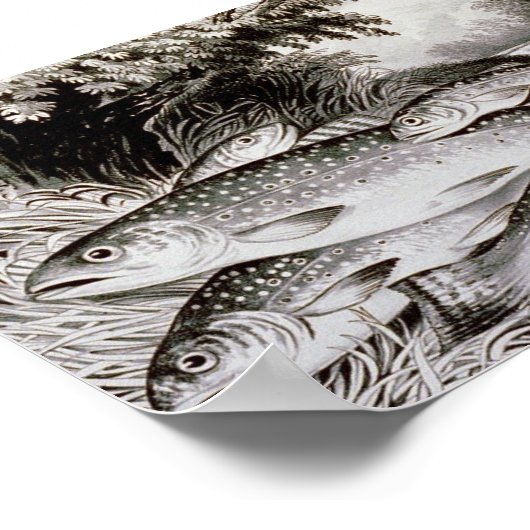 Forelle Fishing Vintage Image Poster (Ecke)
