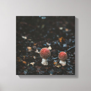 Forelle kleine Pilze Canvas Print Leinwanddruck