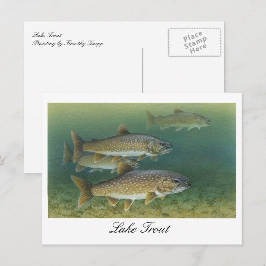 Forelle-Malerei Postkarte (Vorne/Hinten)