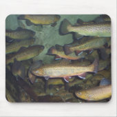 Forelle mousepad (Vorne)