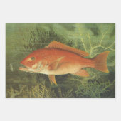 Forelle, Roter Schnapper, Kalifornischer Lachs von Geschenkpapier Set (Vorderseite 2)