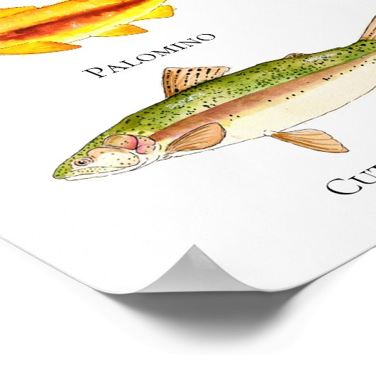 Forellen Aquarell Poster & Print (Ecke)