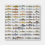 Forellen, Char, Grayling, Hucho und Whitefish Grou Magnet (Vorne)