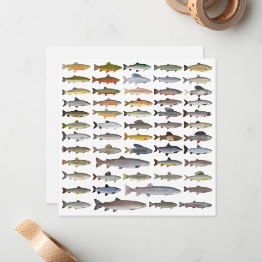 Forellen, Char, Grayling, Hucho und Whitefish Grou Mitteilungskarte (Vorderseite/Rückseite Beispiel)