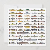 Forellen, Char, Grayling, Hucho und Whitefish Grou Mitteilungskarte (Vorderseite)