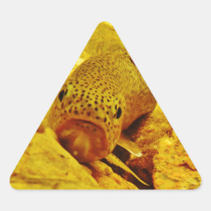 Forellen Dreieckiger Aufkleber