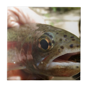 Forellen in Händen Fliese