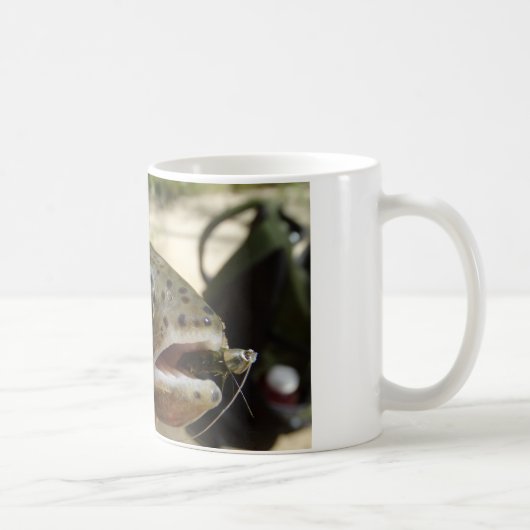 Forellen in Händen Kaffeetasse (Rechts)