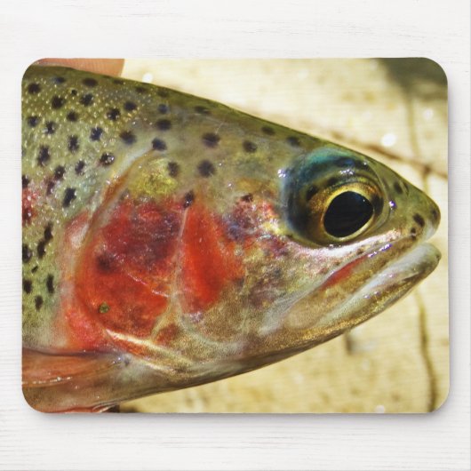 Forellen in Händen Mousepad (Vorne)