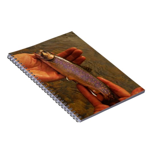Forellen in Händen Notizblock (Rechte Seite)