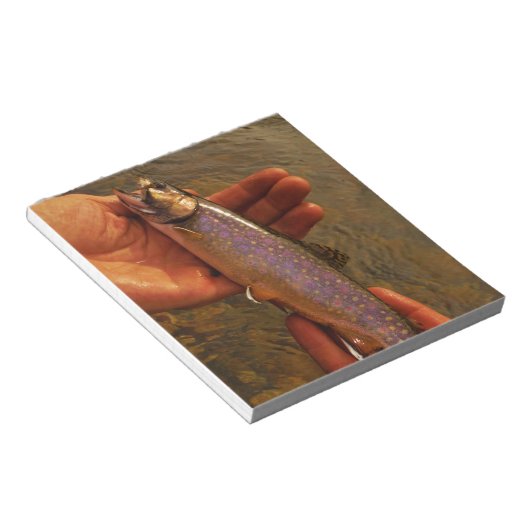 Forellen in Händen Notizblock (angewinkelt)