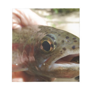Forellen in Händen Notizblock