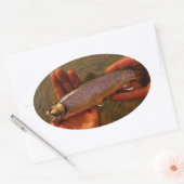 Forellen in Händen Ovaler Aufkleber (Umschlag)
