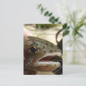 Forellen in Händen Postkarte (Stehend Vorderseite)