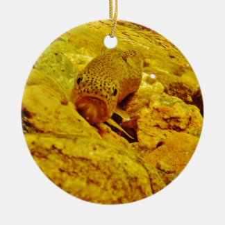 Forellen Keramikornament