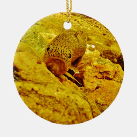 Forellen Keramikornament (Vorne)