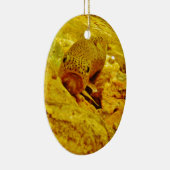 Forellen Keramikornament (Rechts)