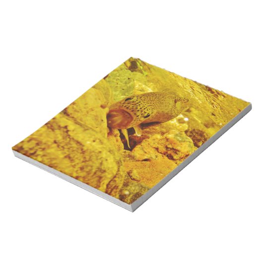 Forellen Notizblock (Rotiert)