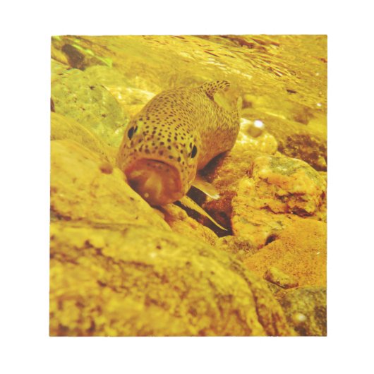 Forellen Notizblock (Vorderseite)