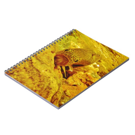 Forellen Notizblock (Linke Seite)