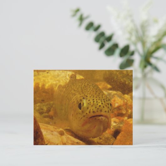 Forellen Postkarte (Stehend Vorderseite)