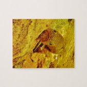 Forellen Puzzle (Horizontal)