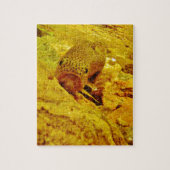 Forellen Puzzle (Vertikal)