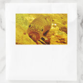 Forellen Rechteckiger Aufkleber (Tasche)