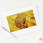 Forellen Rechteckiger Aufkleber (Umschlag)