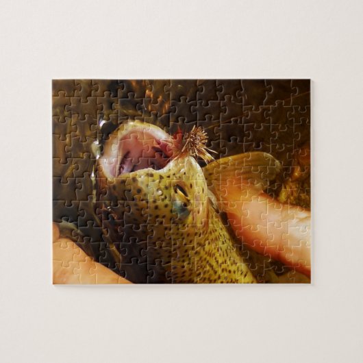 Forellen und Fliegen Puzzle (Horizontal)