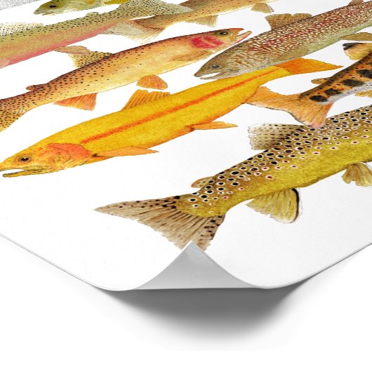 Forellen und Lachs Poster (Ecke)