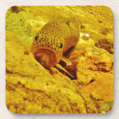 Forellen Untersetzer (Vorderseite)