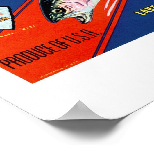 Forellenbrasse Poster (Ecke)