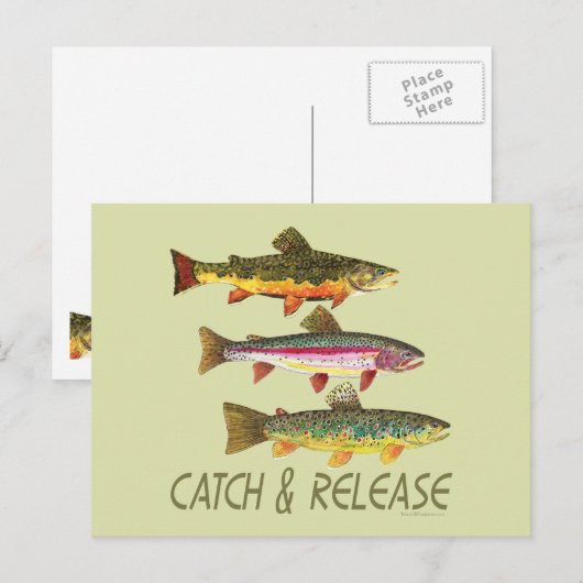 Forellenfang und -freisetzung postkarte (Vorne/Hinten)