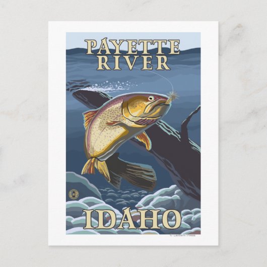 Forellenfischerei - Cross-Section - Payette River, Postkarte (Vorderseite)