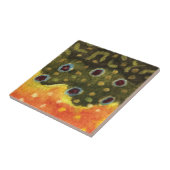 Forellenfischerei Fliese (Seite)