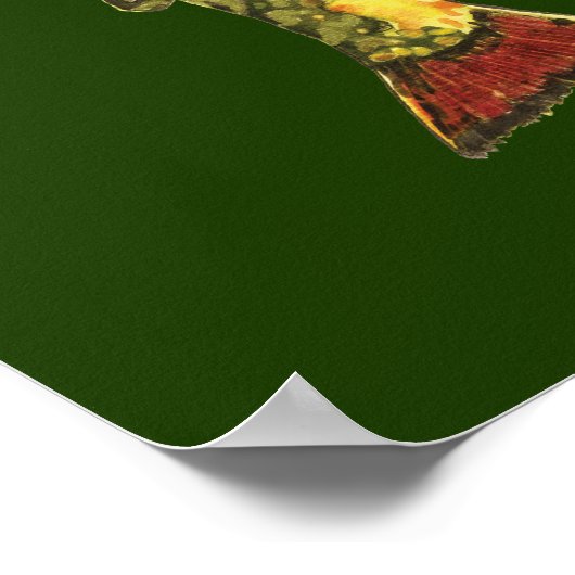 Forellenfischerei Poster (Ecke)